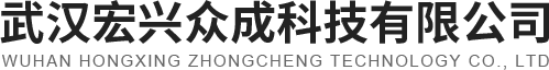 武漢遠(yuǎn)程監(jiān)控logo
